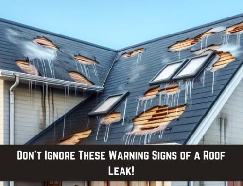 Don’t Ignore These Warning Signs of a Roof Leak!