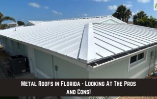 New white metal roof on residential home in Florida with clear sky and palm trees.