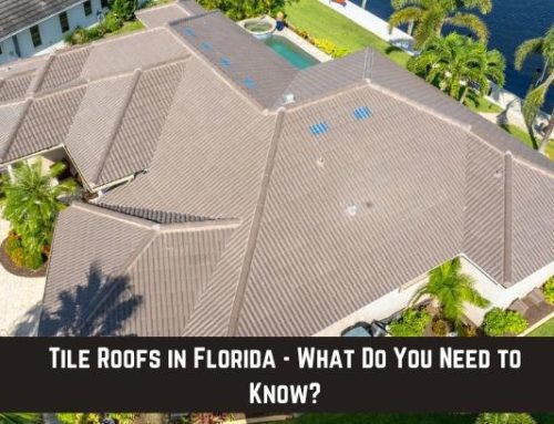 Tile Roofs in Florida – What Do You Need to Know?