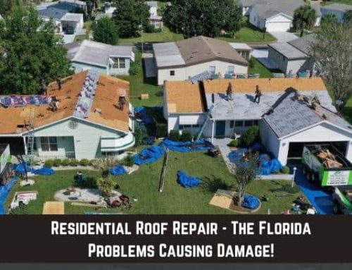Residential Roof Repair – The Florida Problems Causing Damage!