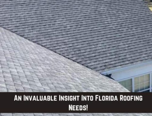 An Invaluable Insight Into Florida Roofing Needs!