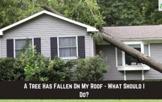 Tree fallen on house roof causing damage and urgent inspection needed.