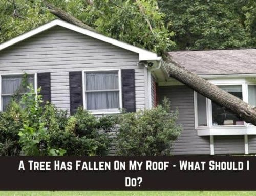 A Tree Has Fallen On My Roof – What Should I Do?