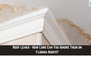 Water stains and mold on ceiling near roof edge from leak.