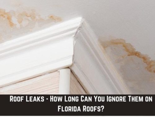Roof Leaks – How Long Can You Ignore Them on Florida Roofs?