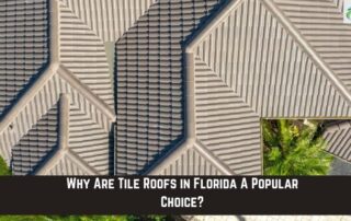 Aerial view of multiple tile roofs with textured surface and lush greenery.