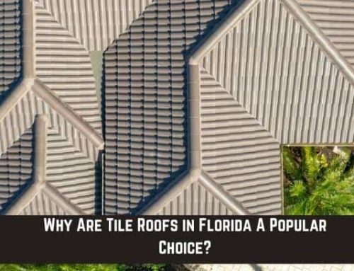 Why Are Tile Roofs in Florida A Popular Choice?