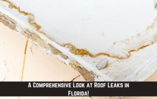 Close-up of roof leaks and water damage in Florida home.