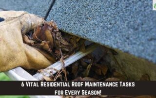 Gutter inspection showing leaves and debris causing potential water damage.