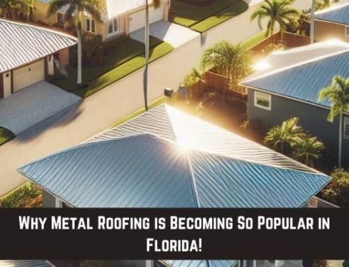 Why Metal Roofing is Becoming So Popular in Florida!