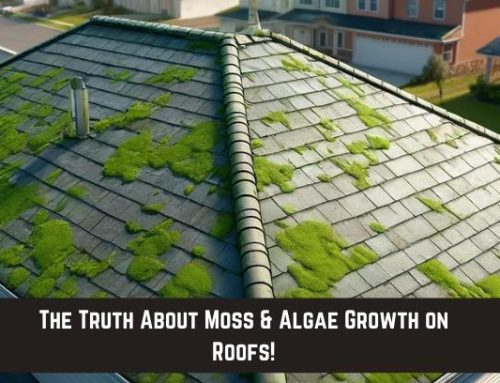 The Truth About Moss and Algae Growth on Roofs!