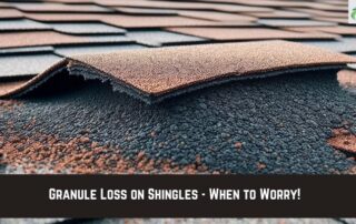 Close-up of damaged shingles showing granule loss and wear.