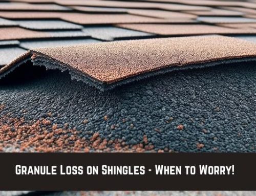 Granule Loss on Shingles – When to Worry!
