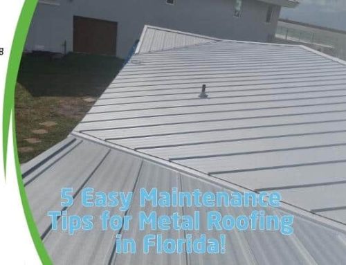 5 Easy Maintenance Tips for Metal Roofing in Florida!