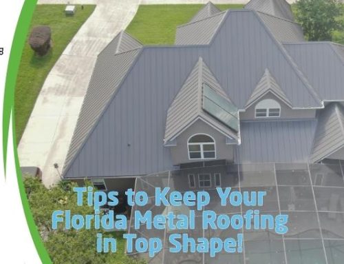 Tips to Keep Your Florida Metal Roofing in Top Shape!